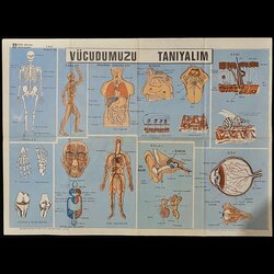 1980’ler İlkokul Vücudumuzu Tanıyalım Afişi