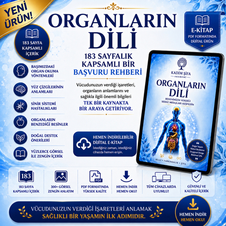 Organların Dili | 183 Sayfalık Kapsamlı Dijital E-Kitap (PDF) | Başvuru Rehberi