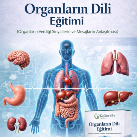 Organların Dili Eğitimi (Dijital Eğitim Seti)