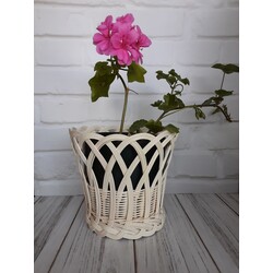 Rattan Saksı
