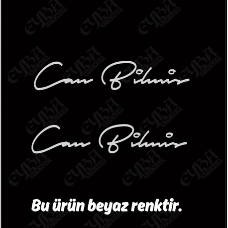 Kelebek cam 2 ad isim soyisim