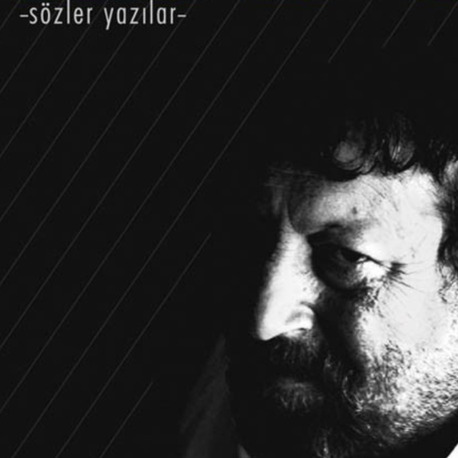 Vicdanî Anarşizm
