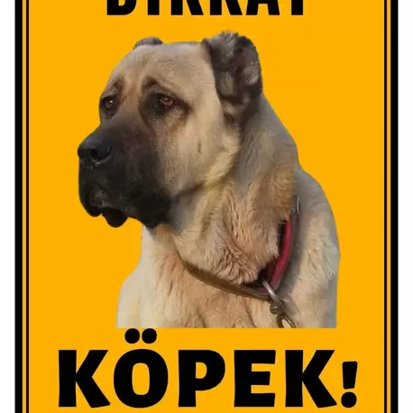 Dikkat Köpek Var Laminasyon Kaplamalı Kenarları Delikli(Kendi Köpeğin Resmiyle)