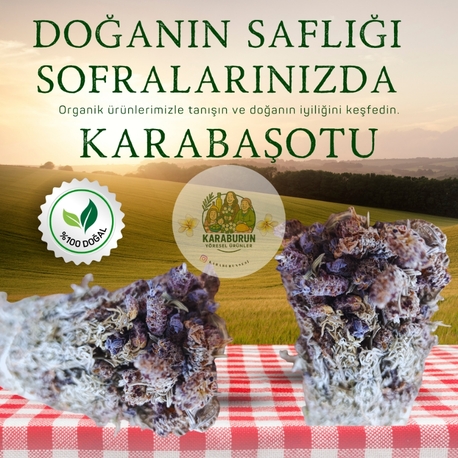 Karaburun Karabaşotu ( 1 Bağ )