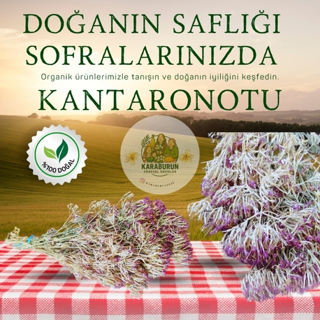 Karaburun Kantaron Otu ( 1 Bağ )
