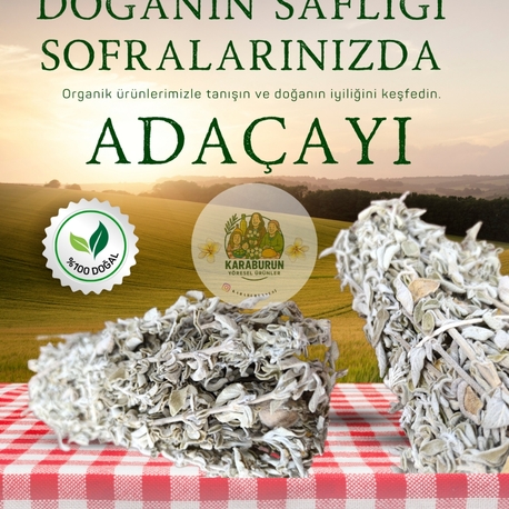 Karaburun Adaçayı ( 1 Bağ )