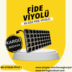 45 GÖZ FİDE VİYOLÜ 30’ LU PAKET