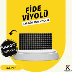 128 GÖZ FİDE VİYOLÜ ( 10 ADET )