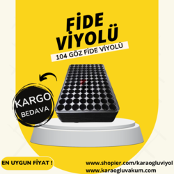 104 GÖZ FİDE VİYOLÜ 30 'LU PAKET