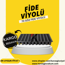 70 GÖZ FİDE VİYOLÜ (70GF100A) 100 'LÜ PAKET