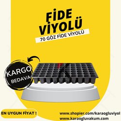 70 GÖZ FİDE VİYOLÜ 30 LU PAKET