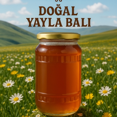 Doğal Yayla Balı  -  1 Kg 