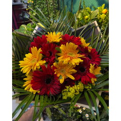 Renkli Gerbera Buketi 