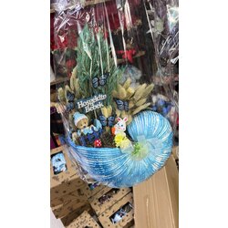 Bebek Teraryum Çeşitleri