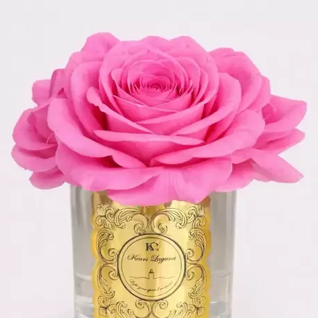 VELVET 3LÜ KOKULU İRİ GÜL ISLAK ÇİÇEK PEMBE,GOLD METAL KABARTMALI BÜYÜK ETİKET