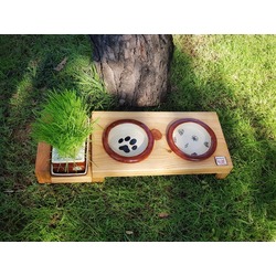 Çam Ağacı Standlı Kedi Mama, Su ve Çim Saksısı