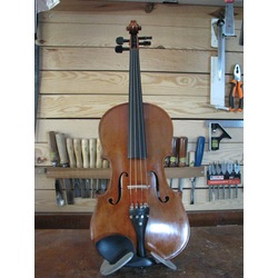 Viola 15,5'