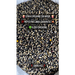 ATA TOHUMU SİYAH PATLATMALIK MISIR 1 KG