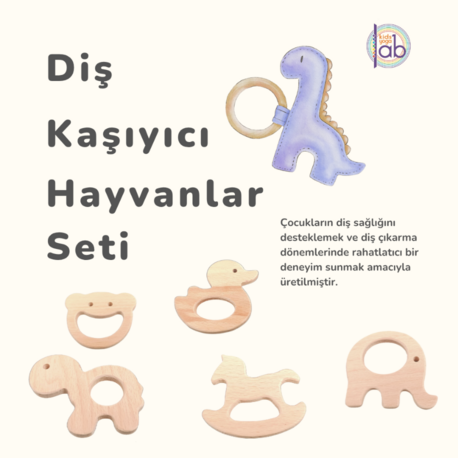 Diş Kaşıyıcı Hayvanlar Seti