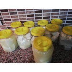 taze köy peynırı (inek)