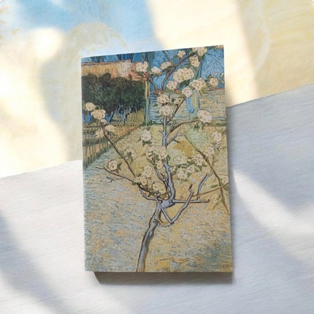 Neva Defter 3lü Set 