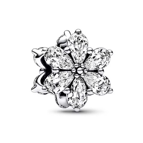 Herbaryum Taşlı Charm