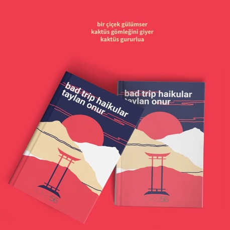 TAYLAN ONUR - bad trip haikular