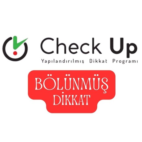 Check UP -5. Modül -Bölünmüş Dikkat Eğitimi