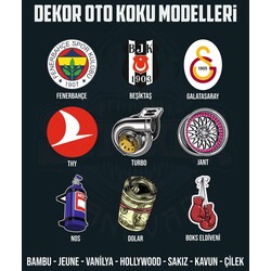 SEÇECEĞİNİZ 10 ADET PREMİUM DEKOR KOKU

