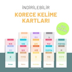 Korece-Türkçe Dijital Flash Kart Seti PDF | 500 Temel Kelime | 18 Kategori