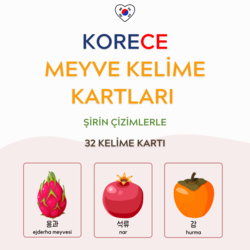 Korece Meyveler (PDF) Kelime Kartları | Görsel Öğrenme Tekniği 