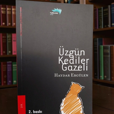 Üzgün Kediler Gazeli - Haydar Ergülen - 2007