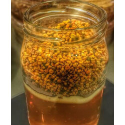 Atom Balı 500gr