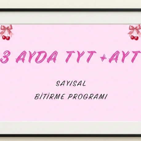 3 ayda tyt +ayt sayısal bitirme programı 