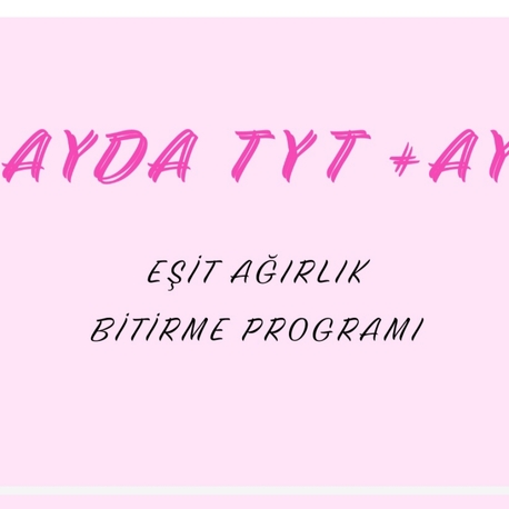 3 ayda tyt + ayt eşit ağırlık bitirme programı 