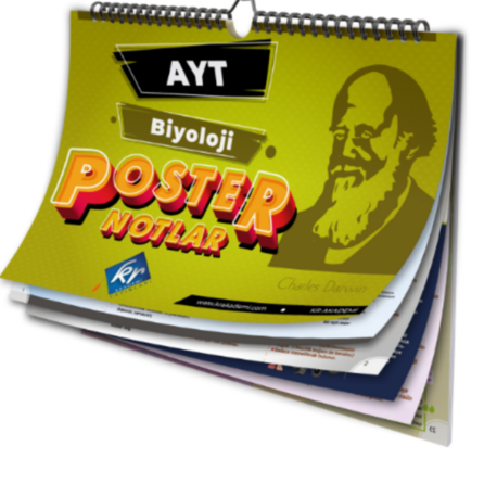 AYT Biyoloji Poster Notlar KR Akademi Yayınları