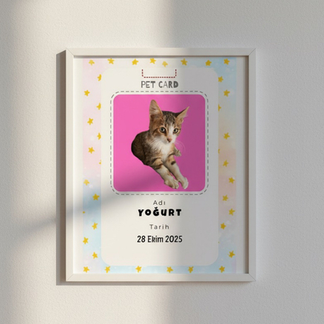 PETCARD ÇERÇEVE