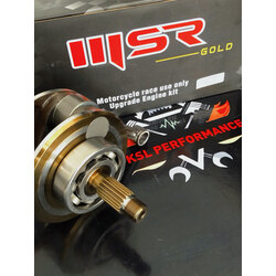 MSR SARI KRANK 39.5mm