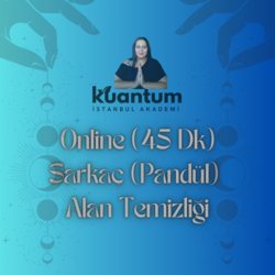 Sarkaç (Pandül) Alan Temizliği [Kişiye Özel 45 Dk - Online]