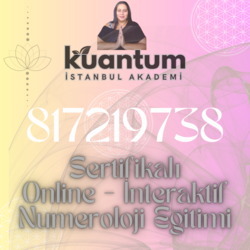Sertifikalı Online İnteraktif Numeroloji Eğitimi