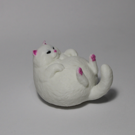 Chubby Cat