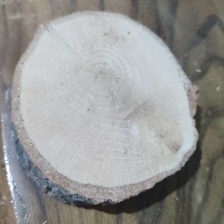 7_9 cm arası 20 adet magnet