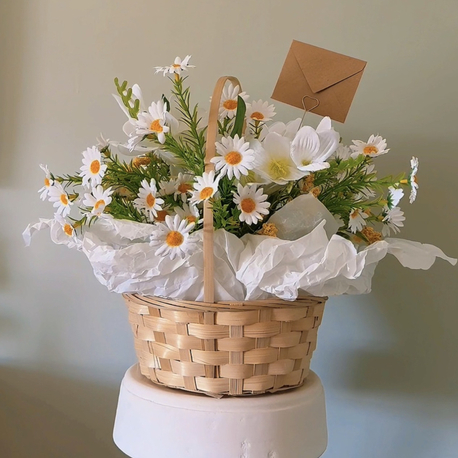 Daisy Dream