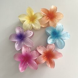 Hibiscus Aloha Toka