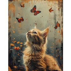 Kedi ve Yaz
