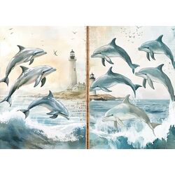 Deniz (Scrapbook) (48 Sayfa)