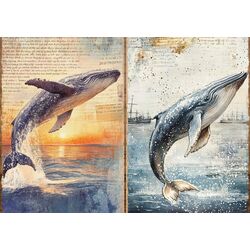 Deniz 1 (Scrapbook) (30 Sayfa)