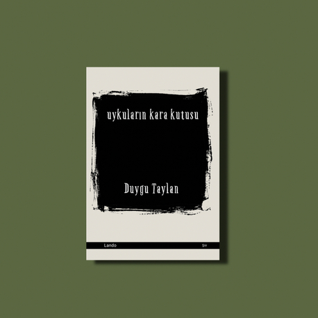 Duygu Taylan - Uykuların Kara Kutusu 