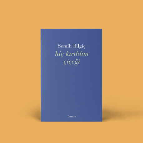 Semih Bilgiç - Hiç Kırıldım Çiçeği 