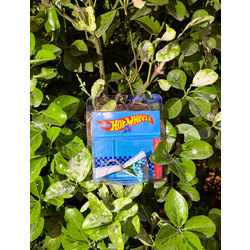 HOT WHEELS Cipso Tasarım (Mavi)